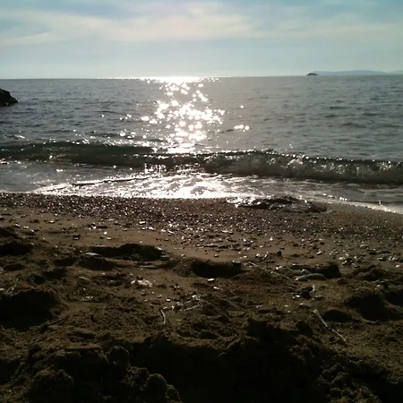 Amalia2 * סקופלוס טאון