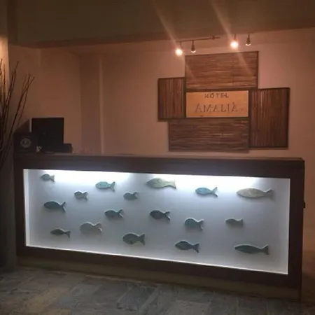 Hotel Amalia2